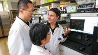 Tazel lab members working with Dr. Tazel in a lab